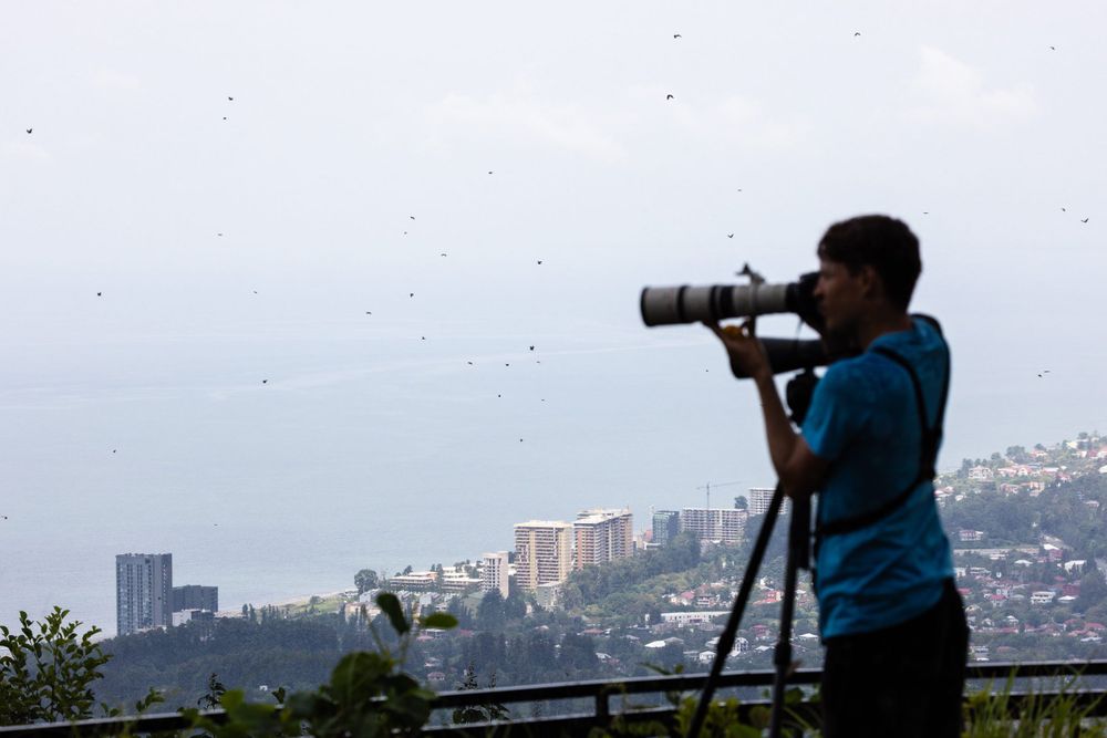 Rain pushes the Honey Buzzards downwards towards eye level. Great conditions for photography, although a little dark. Photo by Bart Hoekstra.