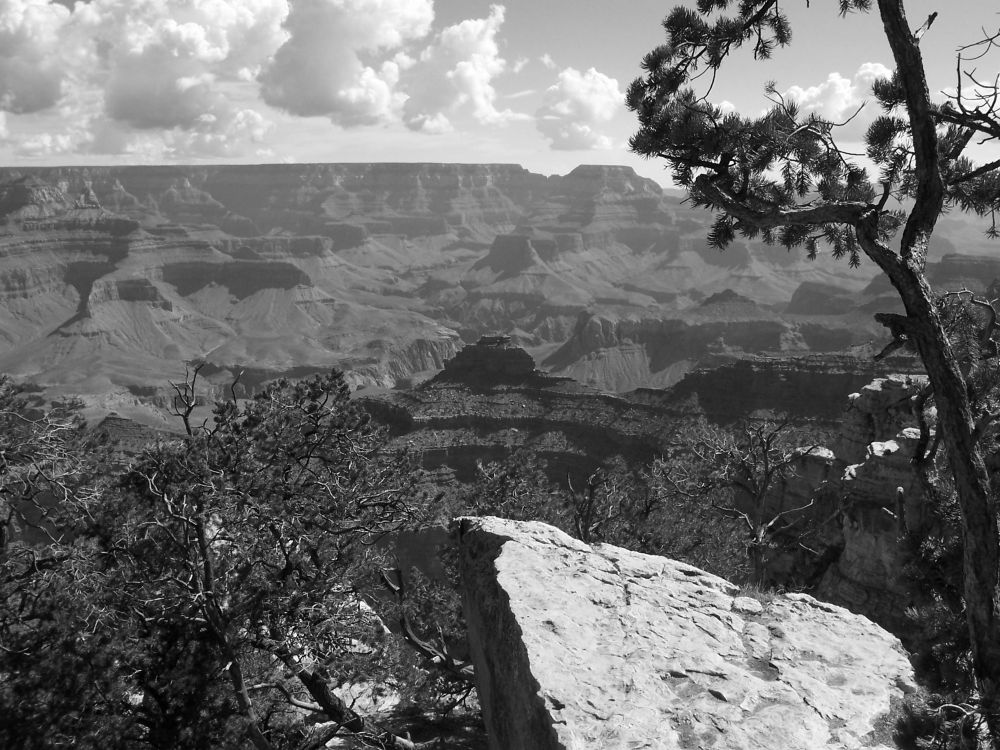 Black and white photograph of the Grand Canyon, showcasing its vast layered rock formations and deep valleys. In the foreground, rugged stone and twisted pine trees frame the dramatic landscape. Billowing clouds hang in the sky above the distant canyon ridges, enhancing the sense of depth and scale.

Grand Canyon circa 2006, photograph by me (A.G.) Image not to be shared or reproduced without permission.