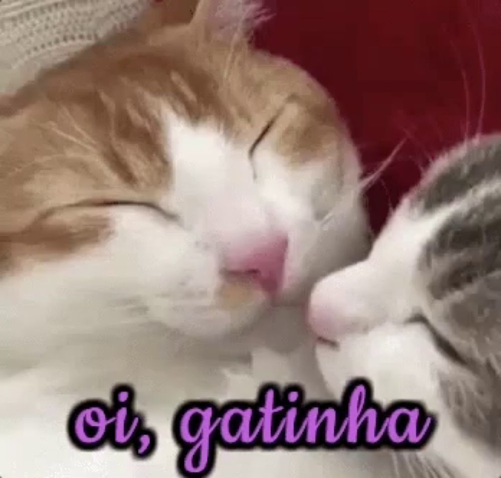 two cats are kissing each other with the words oi , gatinha written below them .