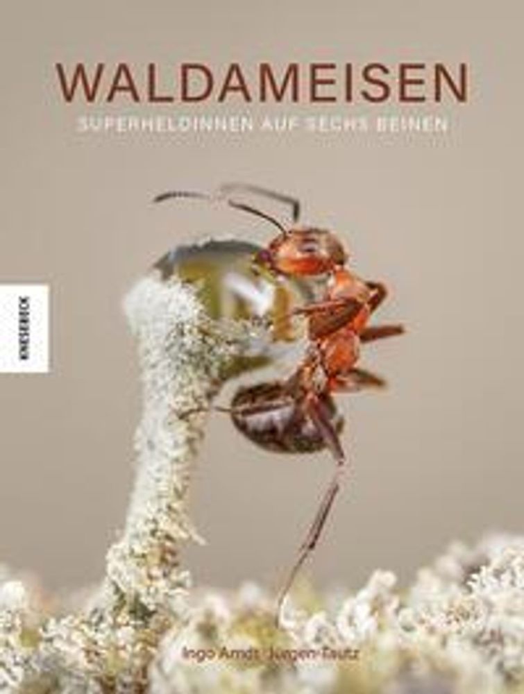 Hier zu sehen: das Cover des neuesten Buches des Naturfotografen Ingo Arndt. Es zeigt eine Waldameise an einem Pflanzenteil.