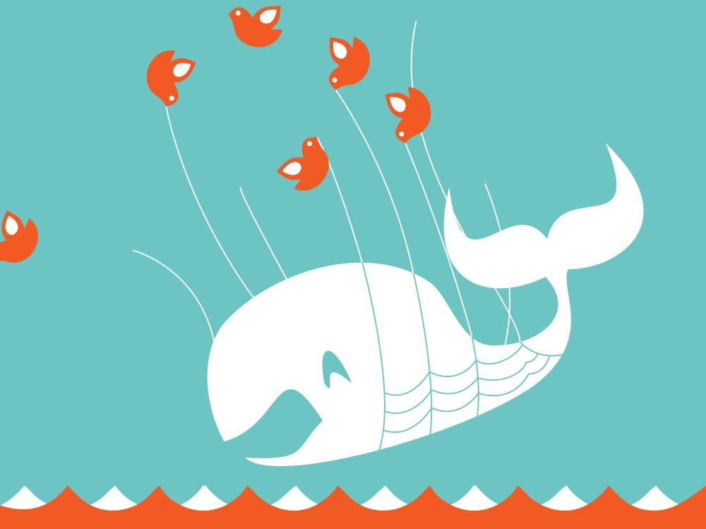 A parody illustration of the Twitter "fail whale". Many of the normal birds holding lines of the net are now scattered and whale has a scared expression as it is falling towards the water.