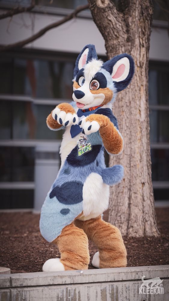Blues posing and presenting nub
