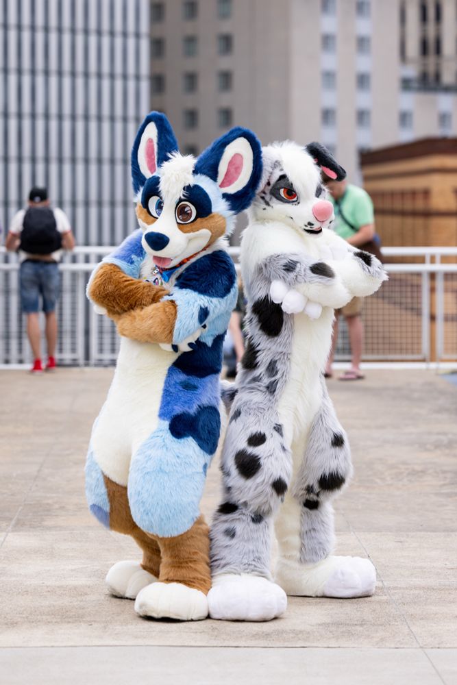 Two fursuiters posing back to back. Blues on left and sash on right