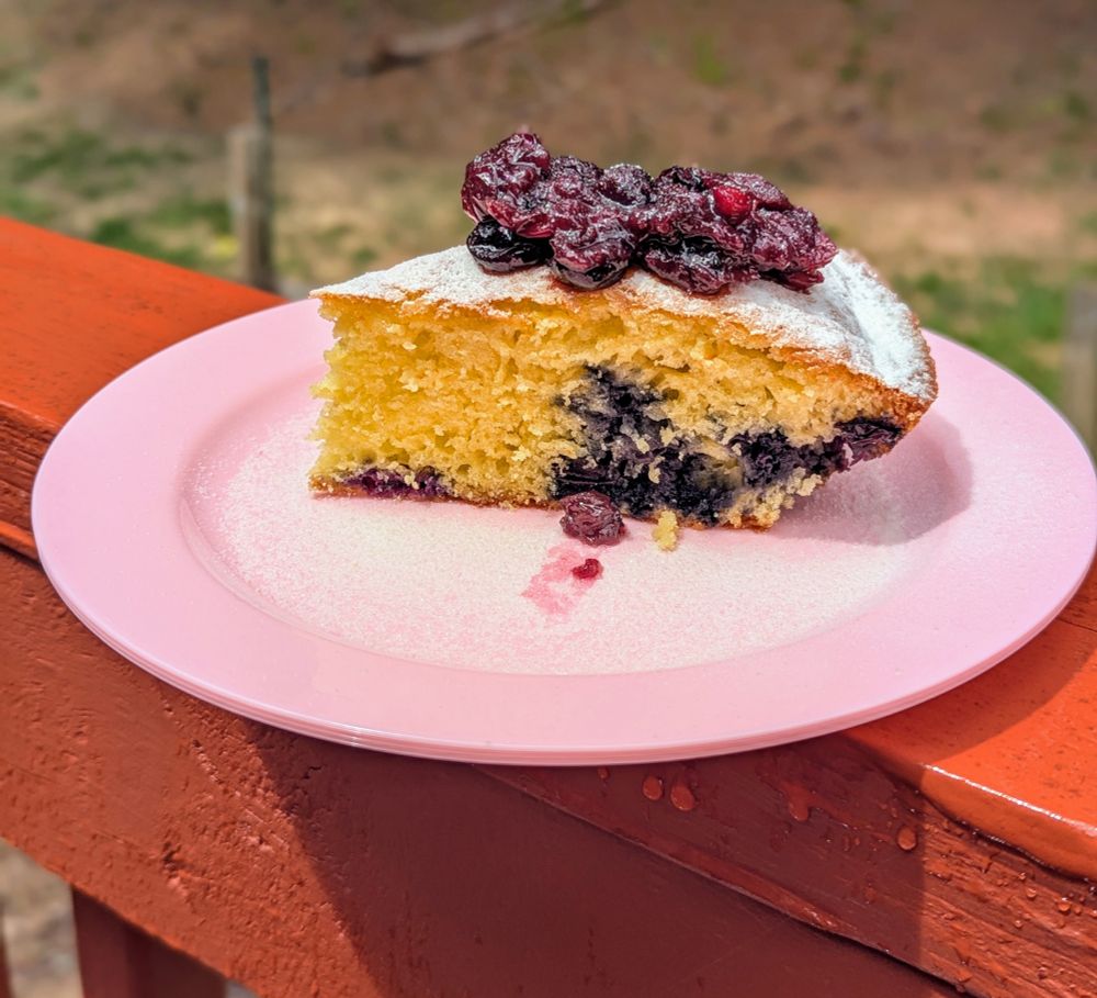 Slice of lemon blueberry pound cake with blueberry compote and powdered sugar on a pink dessert plate. 