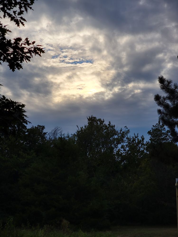 Post image (had no alt text on Bluesky)