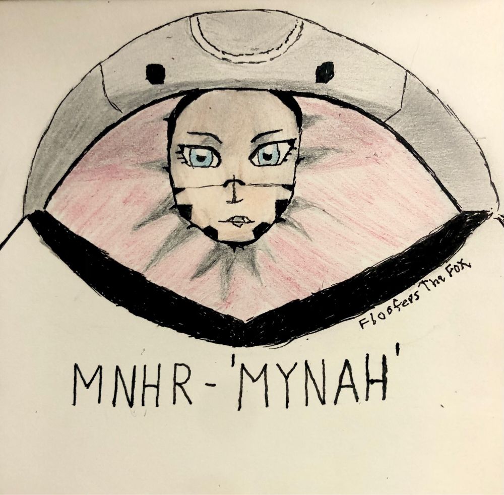 The portrait of the mynah unit