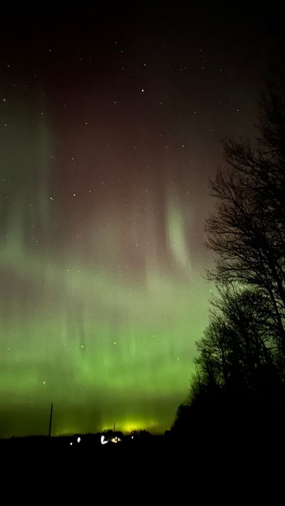 Northern lights in green, white, red. Framed by trees