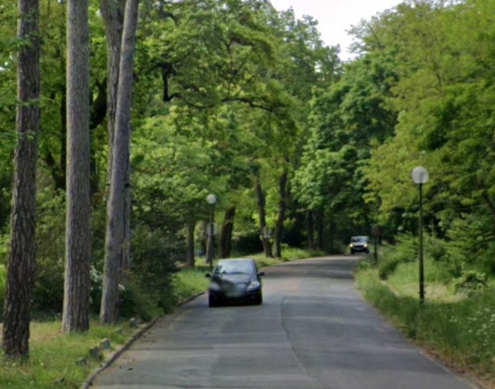 Puteaux et Saint-Cloud devront se faire au bannissement des voitures dans le Bois de Boulogne