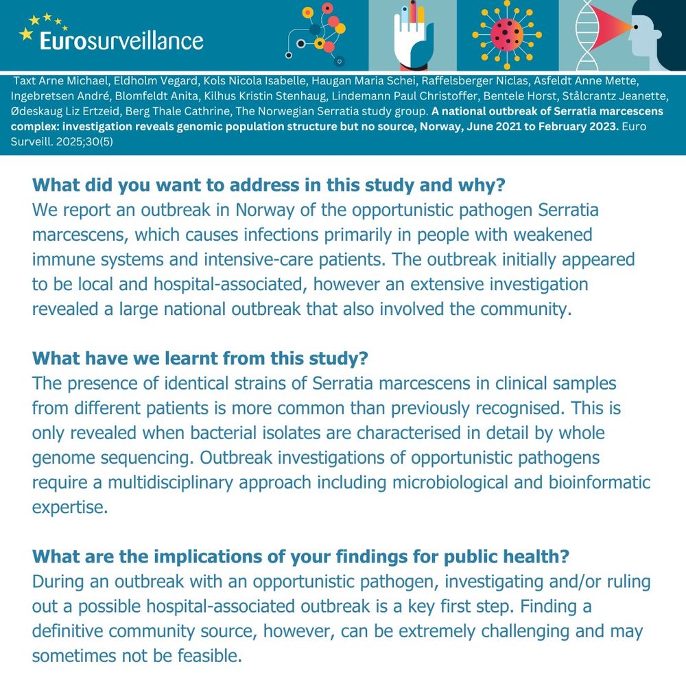 Image summarising the Key public health message for the linked article:

What did you want to address in this study and why?

We report an outbreak in Norway of the opportunistic pathogen Serratia marcescens, which causes infections primarily in people with weakened immune systems and intensive-care patients. The outbreak initially appeared to be local and hospital-associated, however an extensive investigation revealed a large national outbreak that also involved the community.

What have we learnt from this study?

The presence of identical strains of Serratia marcescens in clinical samples from different patients is more common than previously recognised. This is only revealed when bacterial isolates are characterised in detail by whole genome sequencing. Outbreak investigations of opportunistic pathogens require a multidisciplinary approach including microbiological and bioinformatic expertise.

What are the implications of your findings for public health?

During an outbreak with an opportunistic pathogen, investigating and/or ruling out a possible hospital-associated outbreak is a key first step. Finding a definitive community source, however, can be extremely challenging and may sometimes not be feasible.