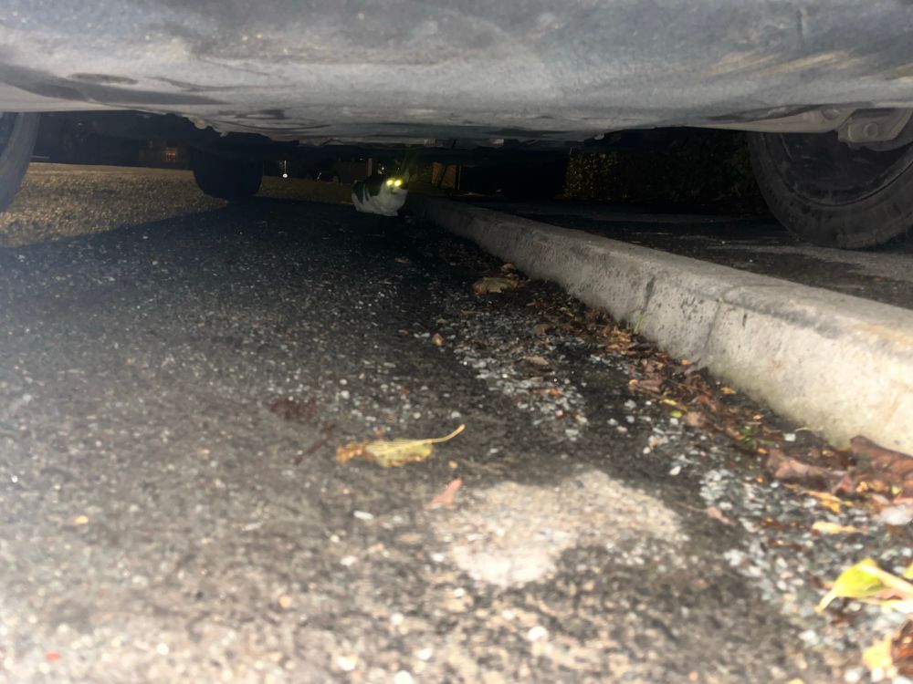 Billy’s glowing eyes under the car 