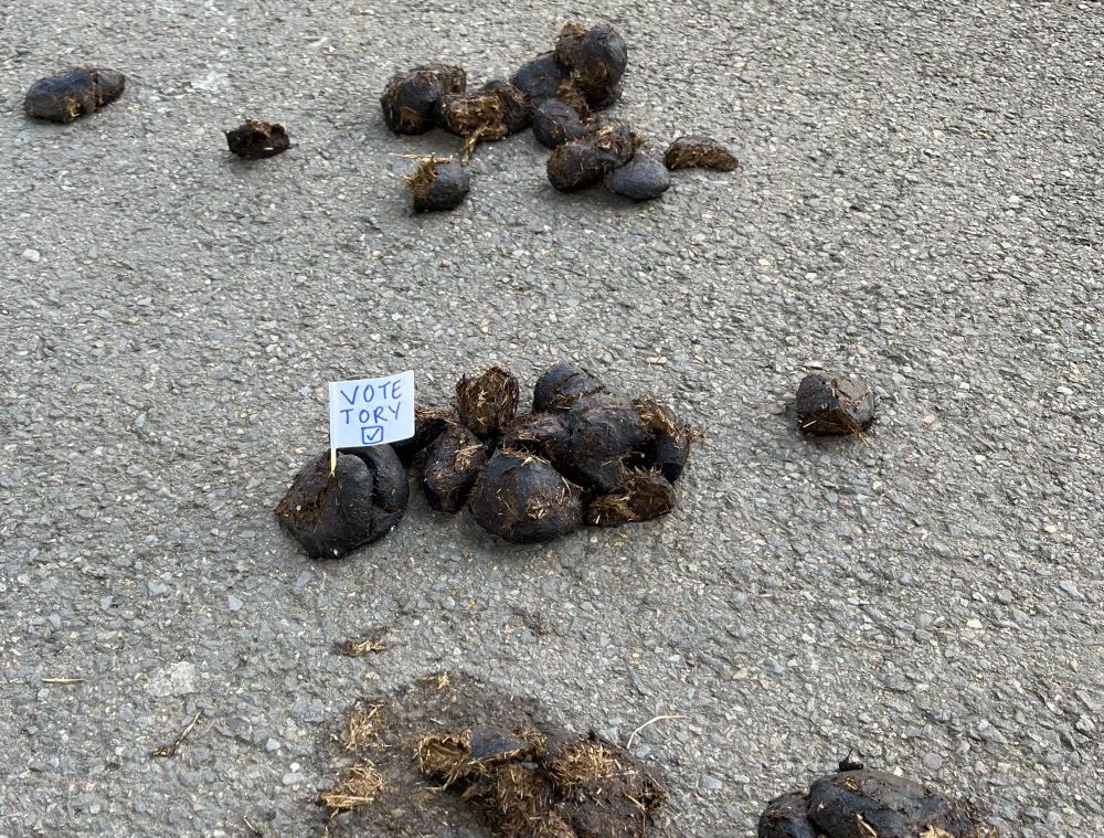 Scattered horse droppings on the pavement — someone has made a small flag with a cocktail pick reading “VOTE TORY [tick]” and stuck it in the manure.