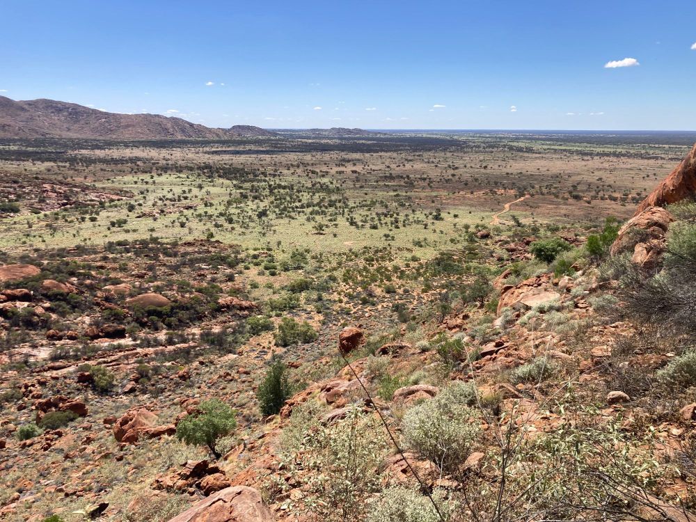 The light green in the middle ground is buffel, spreading across the flats and up onto the hills. It is spreading into this gorge and replacing the Triodia (spinifex)