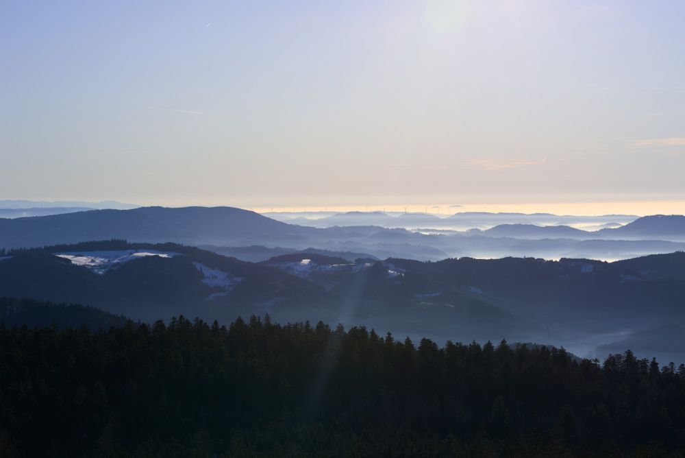 Black forest wider landscape