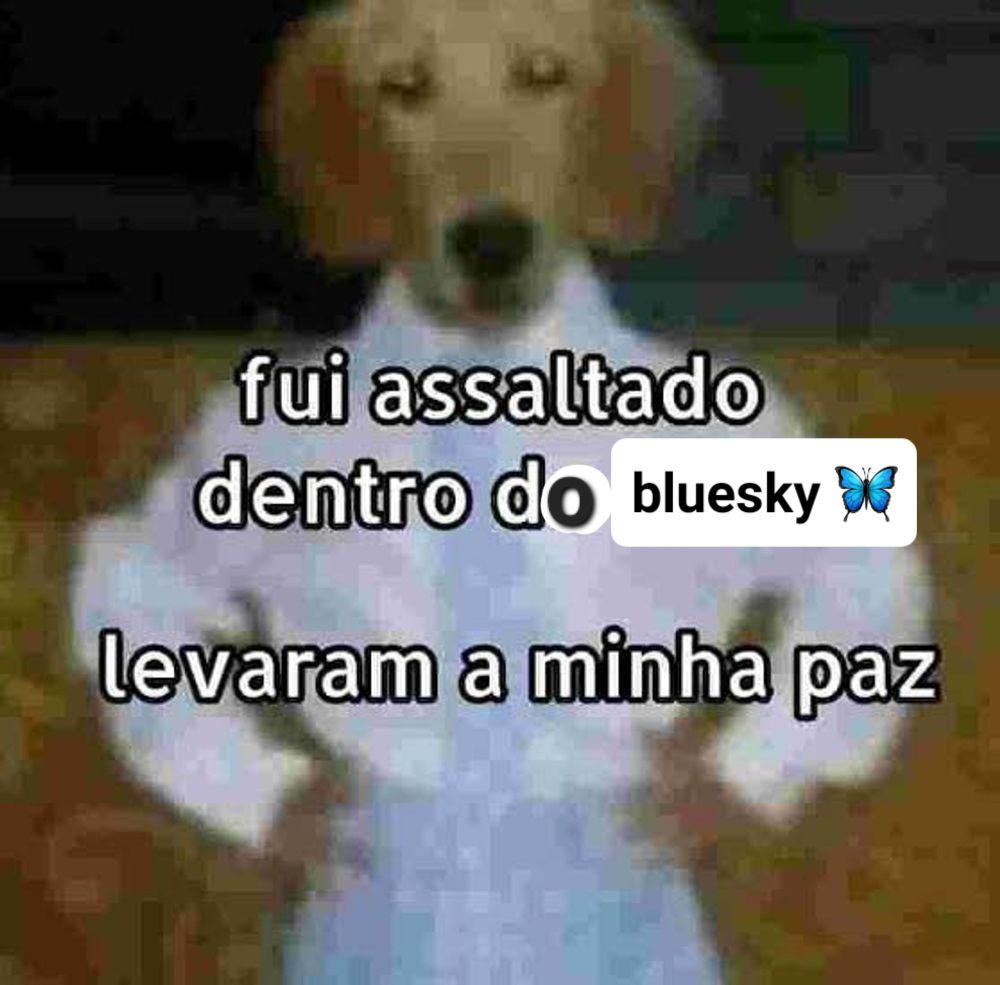 Montagem de cachorro usando camisa social e calças imagem de resolução ruim com a frase "fui assaltado dentro do bluesky levaram a minha paz"