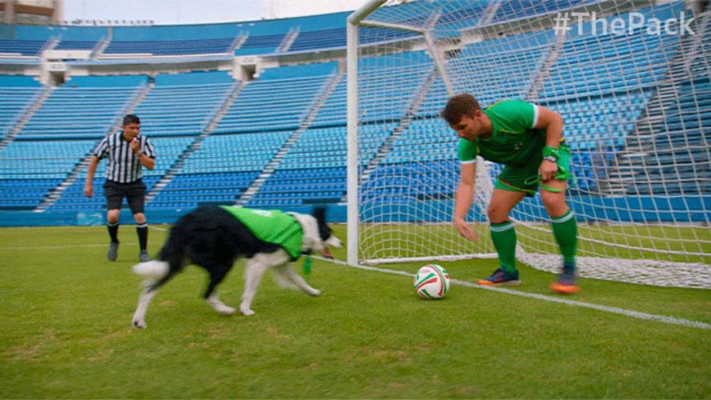 a man in a green shirt kicks a soccer ball while a dog in a green shirt looks on