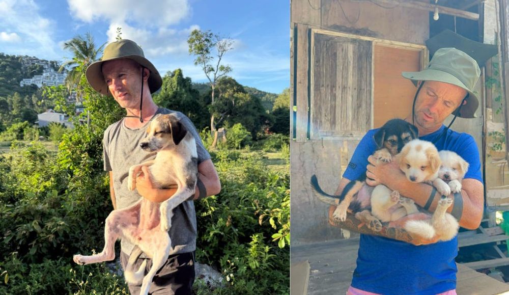 1 Million puppies not being born into suffering