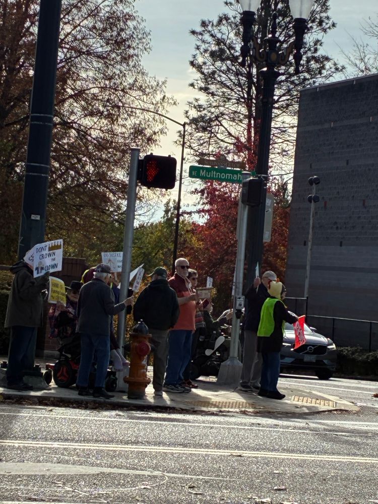 One of the groups of protesters occupying each corner of this intersection- NE 16th & Multnomah St, in Portland OR. 
  At far left, a citizen holds a sign, 
“Don’t crown the Clown”. At far right, a safety officer/crossing guard wears a yellow vest & holds a bright orange safety flag emblazoned with the word,
“RESIST”; she also wears a yellow Chicken Hat, several of which are spotted by members of The Resistance : ( 