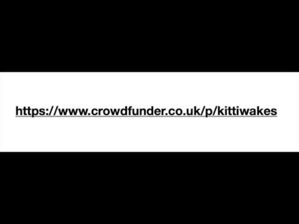 KITTIWAKES CROWDFUNDER DETAILS