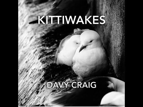 Kittiwakes (Crowdfunder)