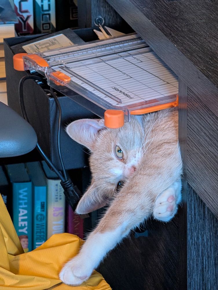 A yellow and white tabby cat struggling to get out from a desk cubby, pulling a box with wires and a small paper cutter with him.