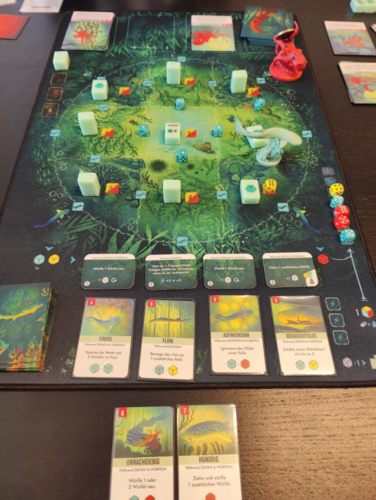 Spielaufbau von Kelp aus der Haiperspektive 