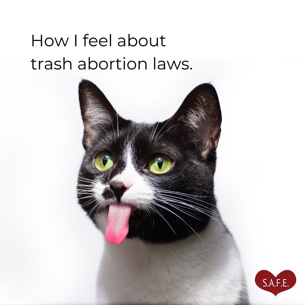 Photo of a black and white cat sticking its tongue out in disapproval. Caption reads: "How I feel about trash abortion laws"