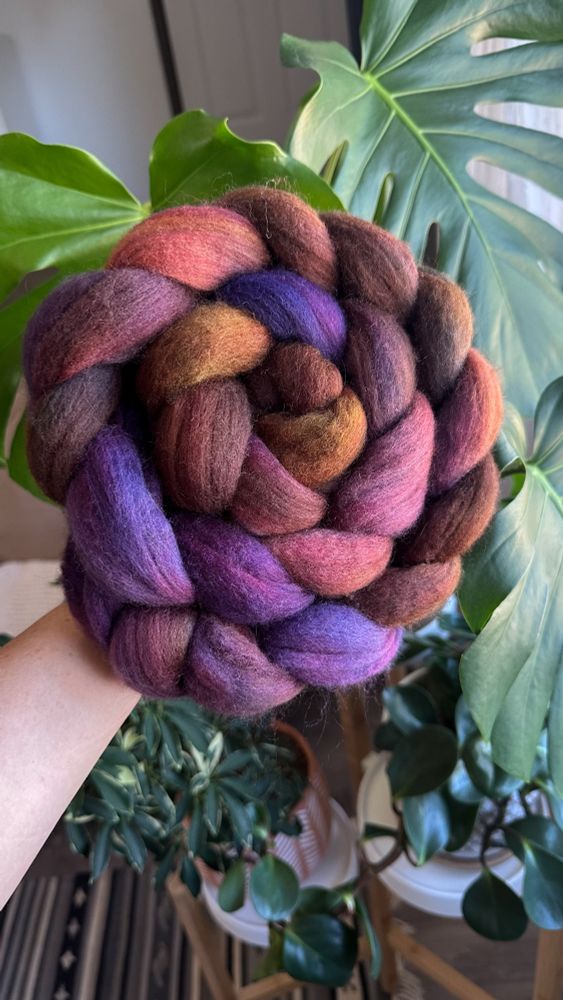 A hand holds a braid of wool in front of some house plants. The colors of the wool consist of deep purple, red, brown, and a hint of gold.