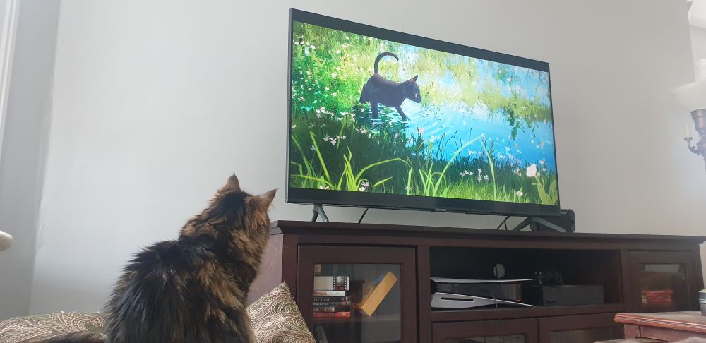 Mirri stares raptly at a TV screen showing the cat from Flow