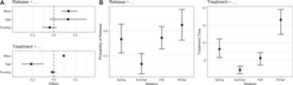 Rehabilitation outcomes of bird-building collision victims in the Northeastern United States