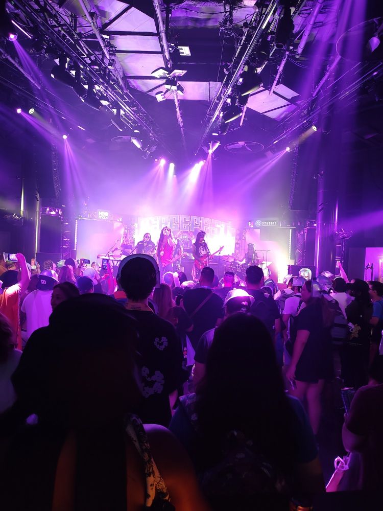 The concert at Peacefest.