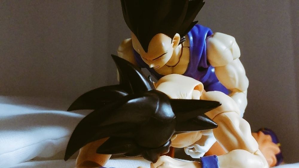 可動フィギュアの多分正しくない使い方(ベジカカ)