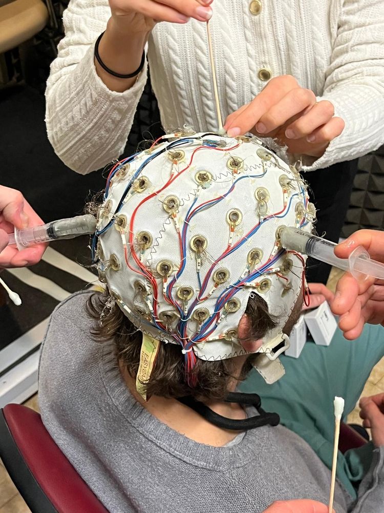 Adult human participant is having an EEG cap fitted 