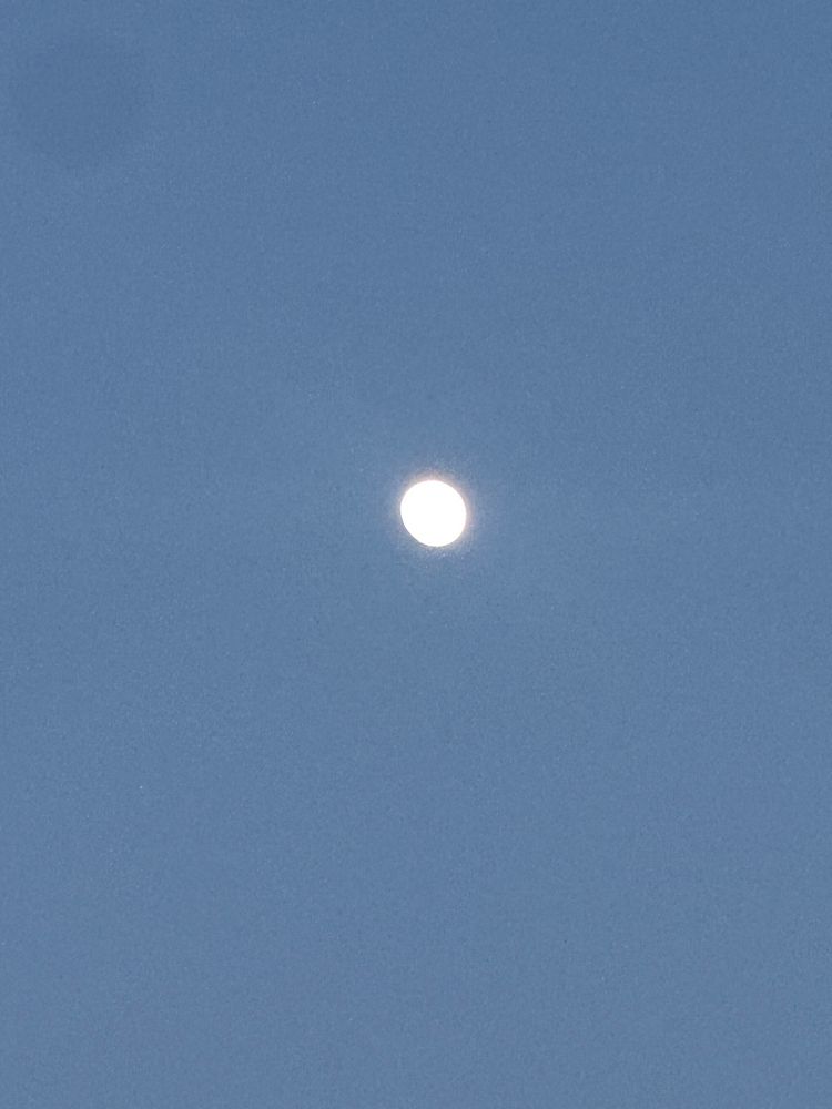The moon and blue sky. 