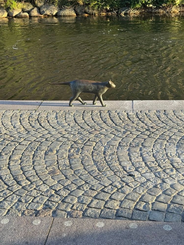 Sculpture of a cat walking next to a canal in Malmö.