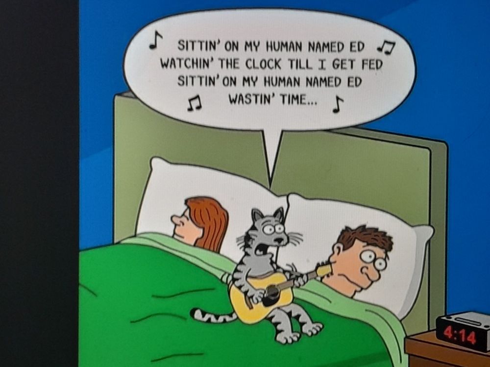 Comment image