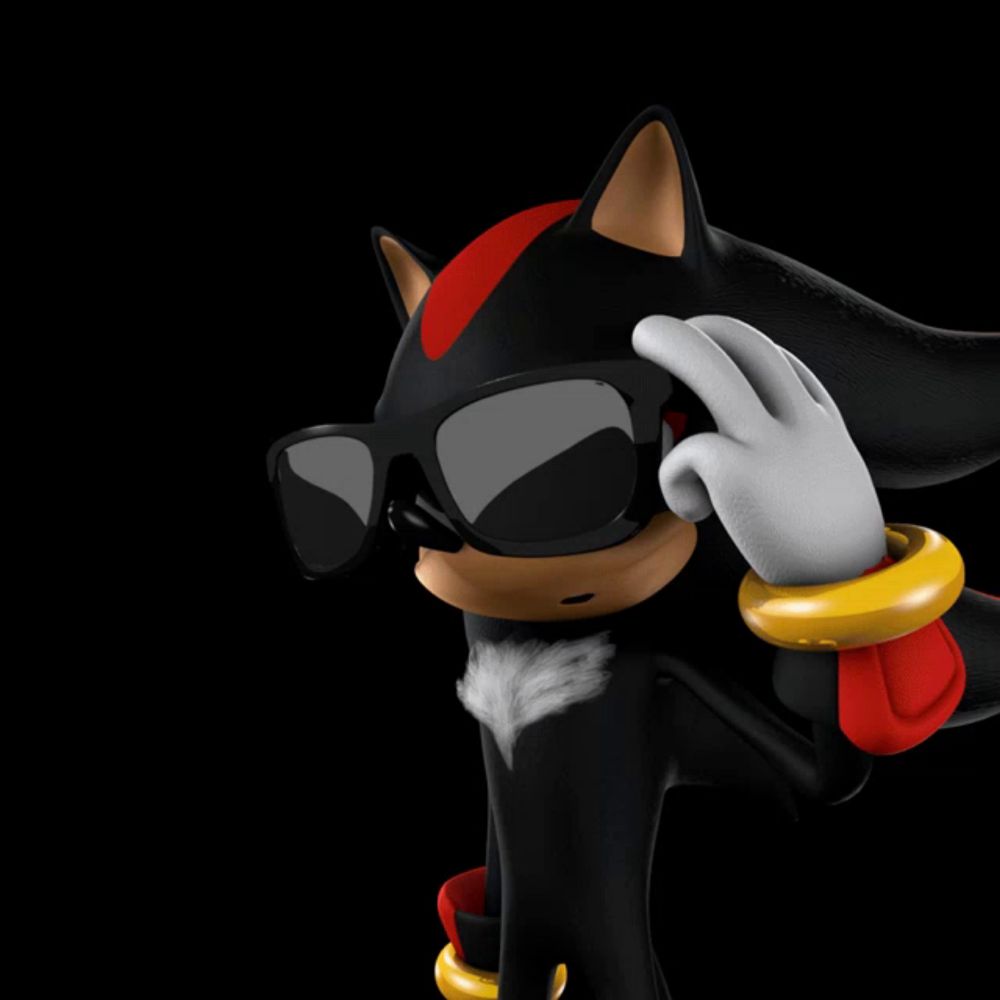 shadow the hedgehog is wearing sunglasses and a glove