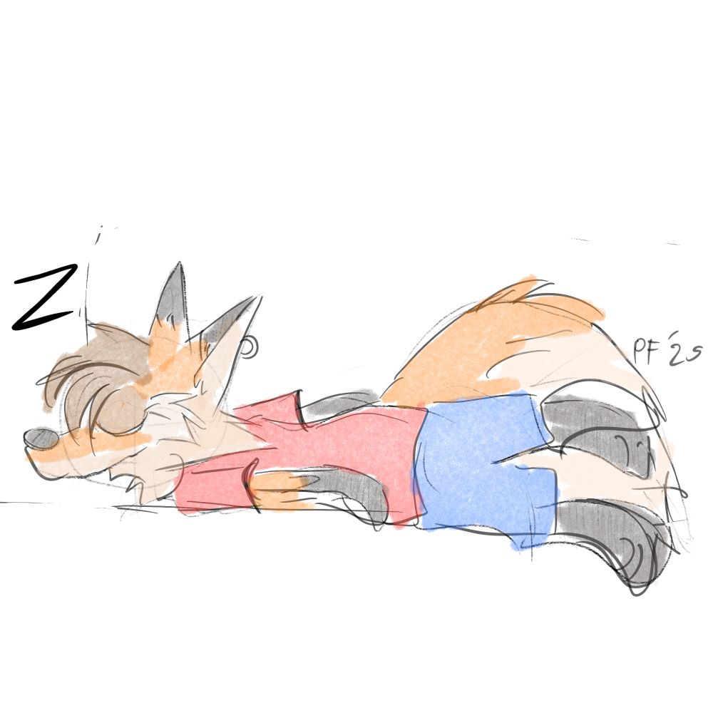 Amber the Fox asleep 