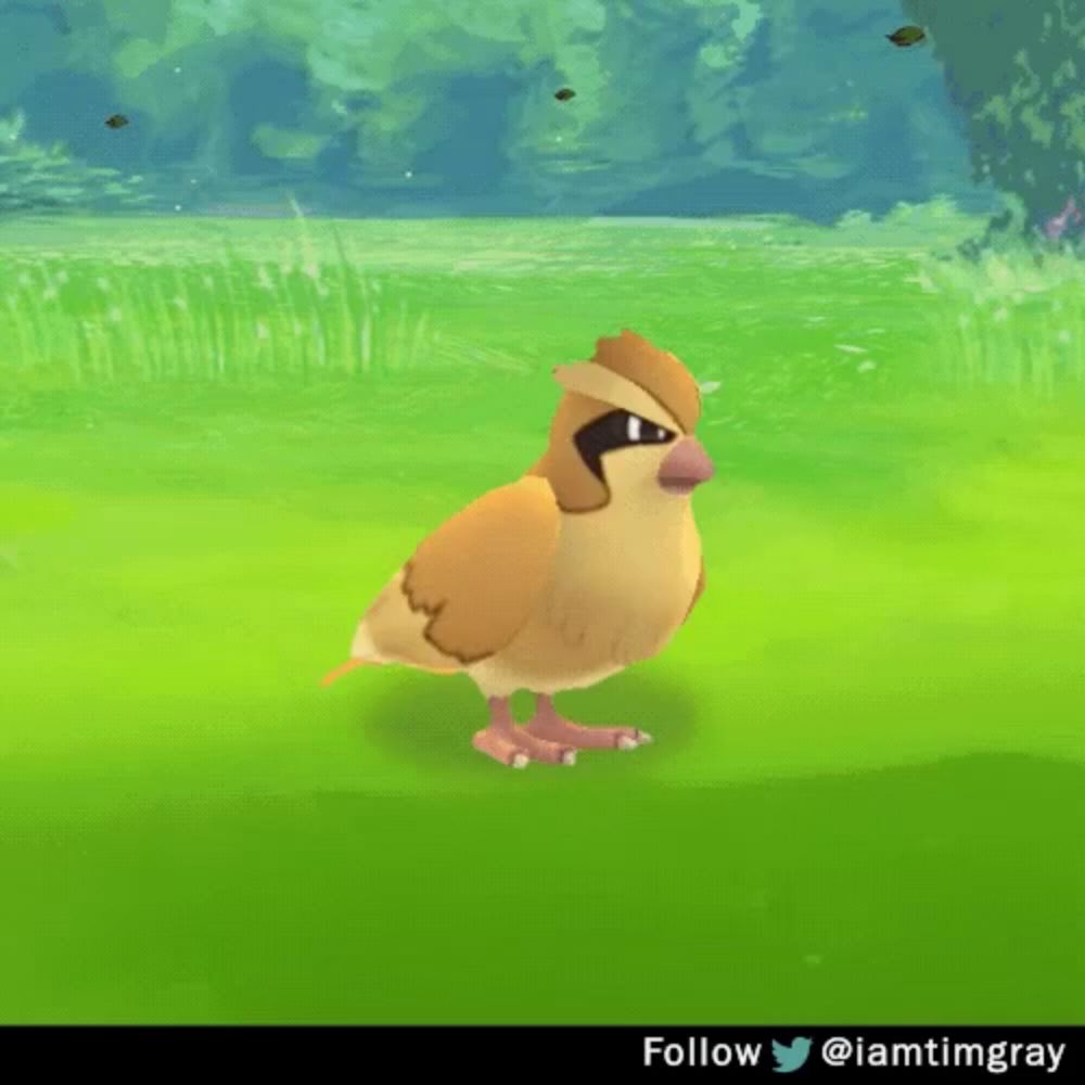 a cartoon bird is standing in the grass next to a poke ball