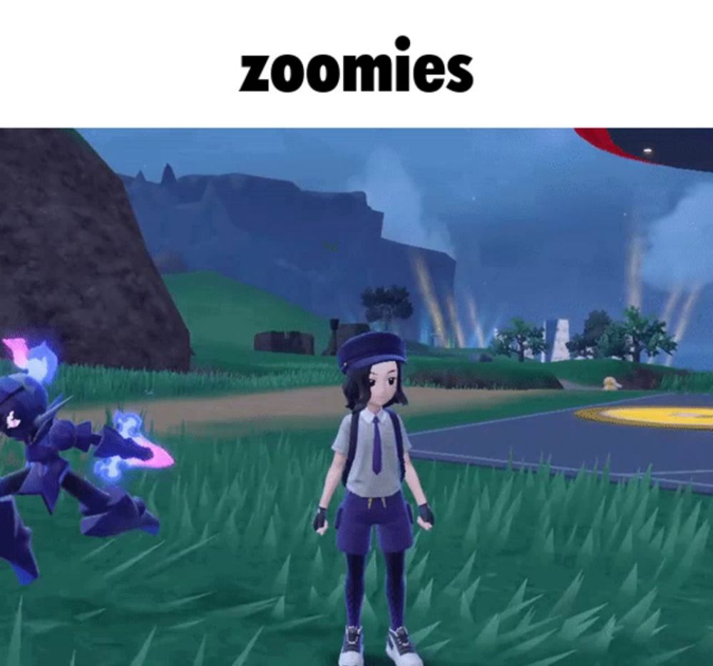 a video game scene with the word zoomies on the top