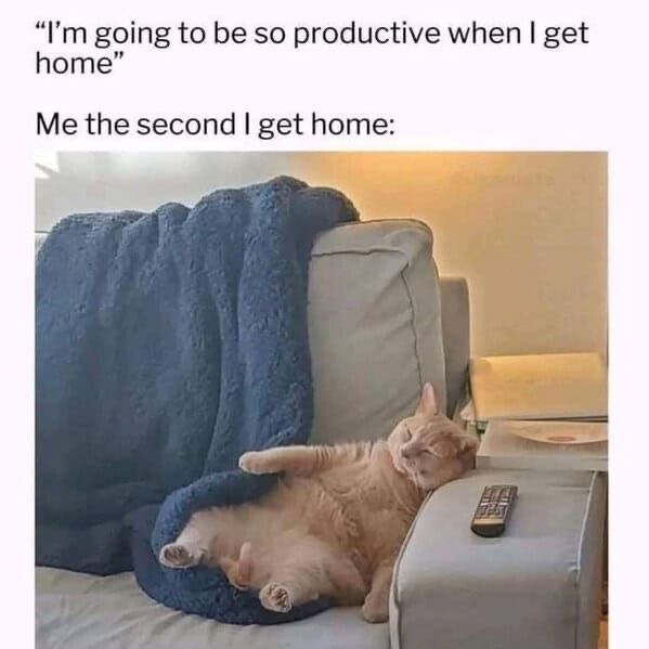 “I’m going to be so productive when I get home”
“Me the second I get home:”
Pic is of the cutest rotund, orange cat resting on the couch with the remote nearby and a blanket ready, if needed. 