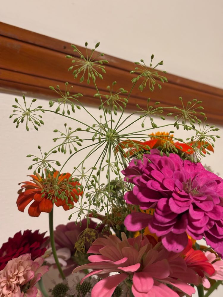 flower arrangement that includes a dill flower, which resembles a common firework pattern