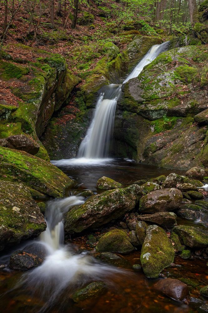 A three-tiered waterfall descends a mossy gorge. The highest level is a slide, the middle is a plunge, and the lowest is a small drop pinched between some rocks. The surrounding forest is filled with light green spring leaves.