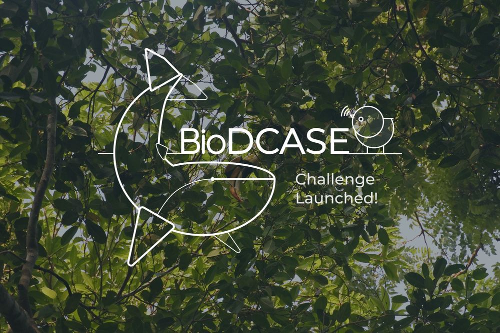 Logo: BioDCASE. Challenge launched! We like birds, whales, forests, and data