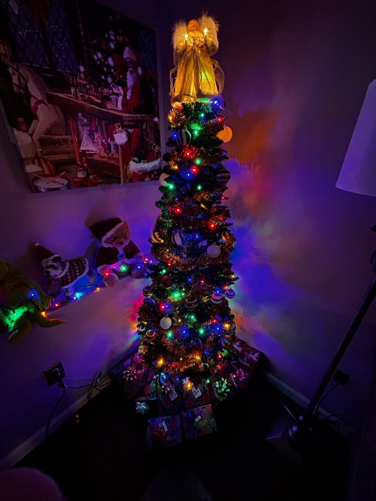 Festively decorated Christmas tree lighting up an otherwise dark room.