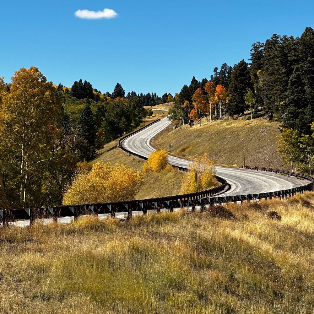A windy two-land highway goes up a hillside in a forest during fall color