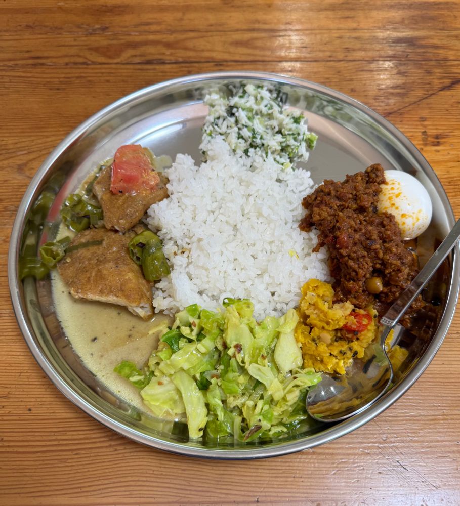 大葉と大根(?)の何か、挽肉のカレー、豆のカレー、キャベツの何か、白身魚とししとうのカレー