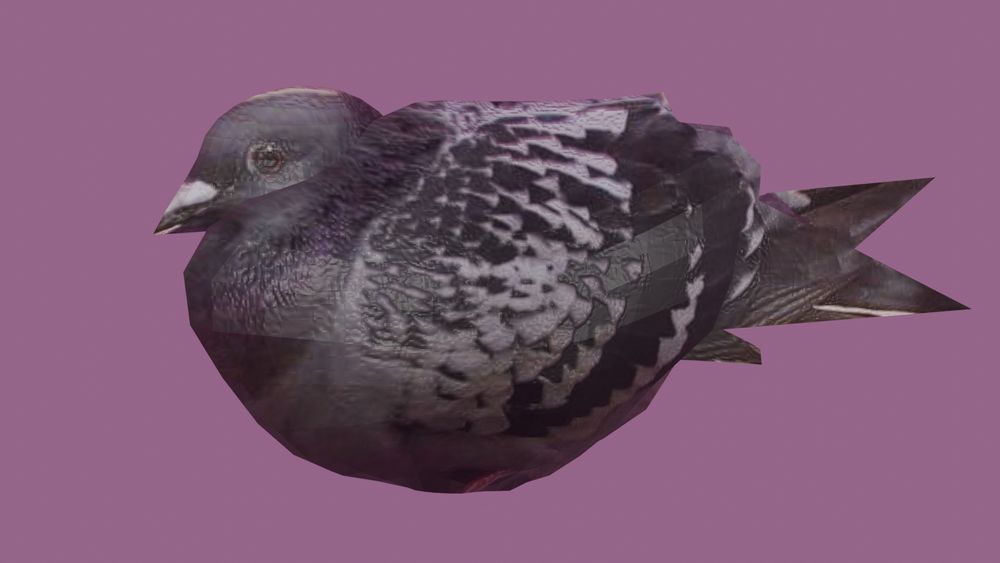 A poorly rendered 3D pigeon