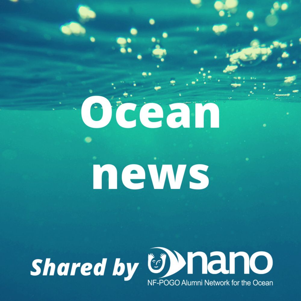 Report on status and trends of Pacific coral reefs released - NANO | NF-POGO Alumni Network for the Ocean
