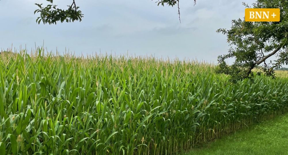 PFAS-Belastung in Mittelbaden: Wie es um den Verbraucherschutz steht