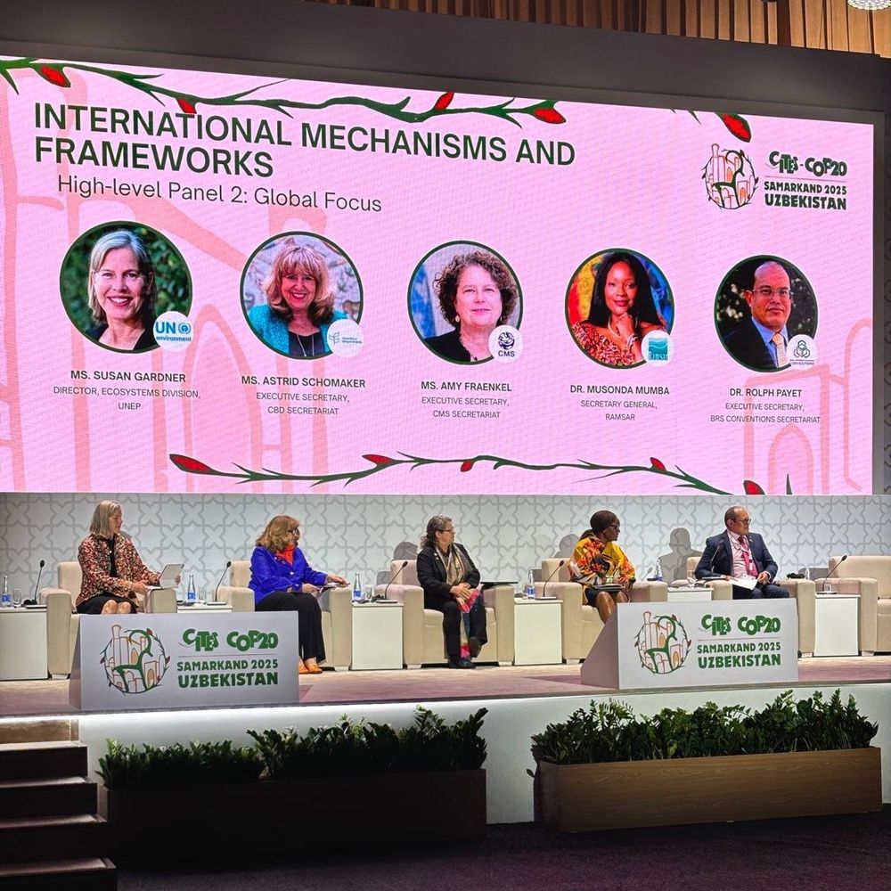 Representatives of UNEP and MEAs taking part in a panel ahead of COP 20 